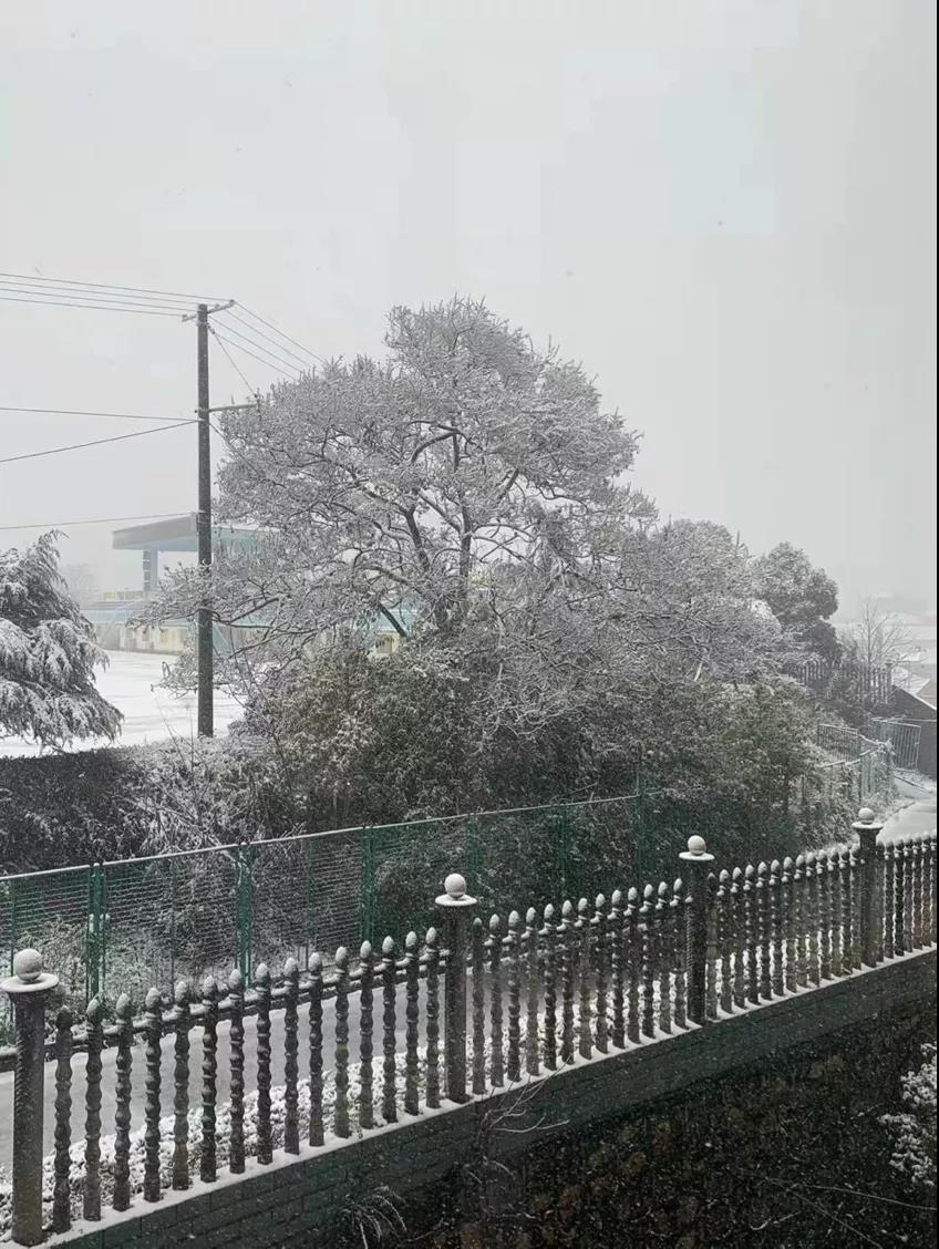太阳集团2007