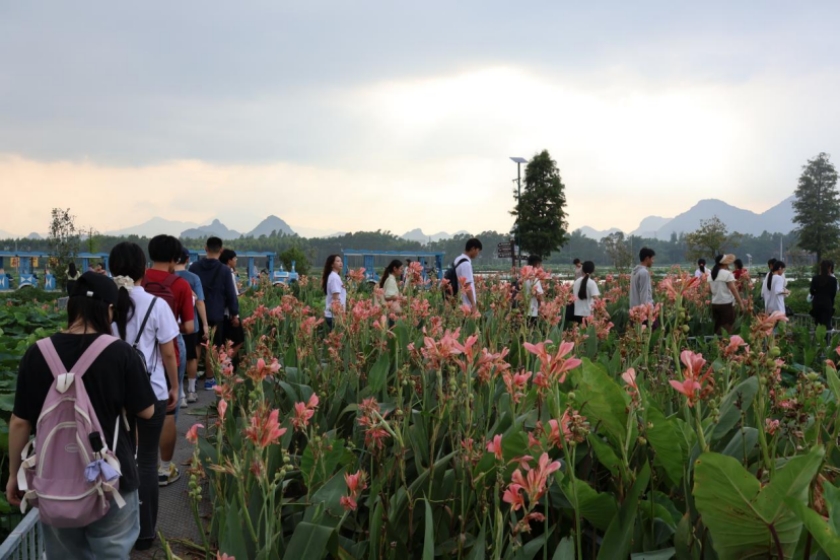 太阳集团2007