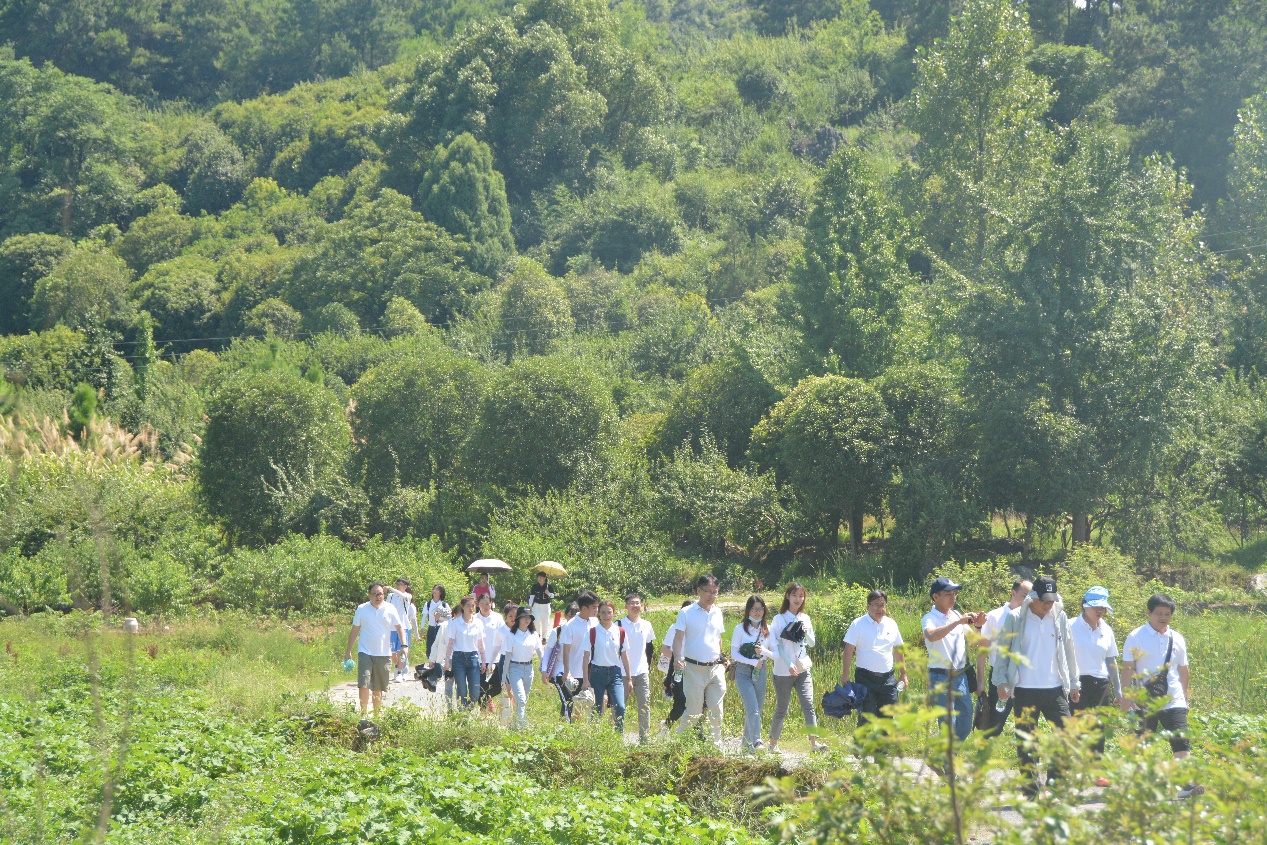 太阳集团2007