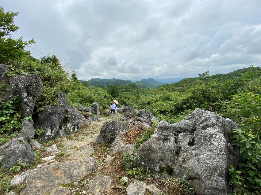 太阳集团2007
